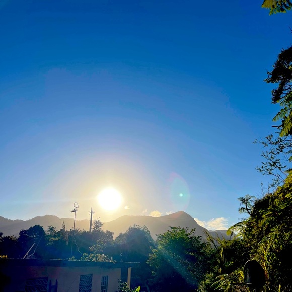 Meet your Posher, Sylvia - Picture 1 of 1